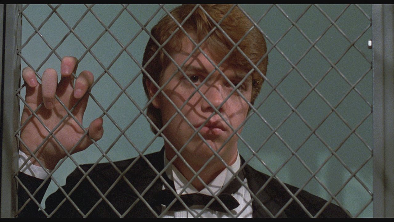 El terror llama a su puerta : Foto