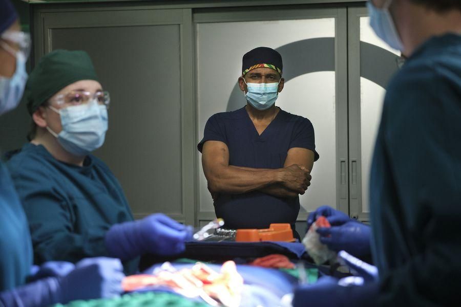 The Good Doctor : Foto