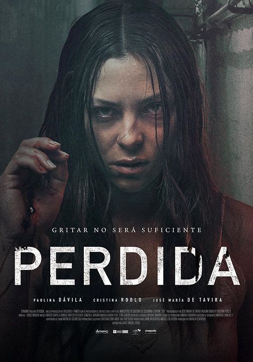 Perdida : Póster