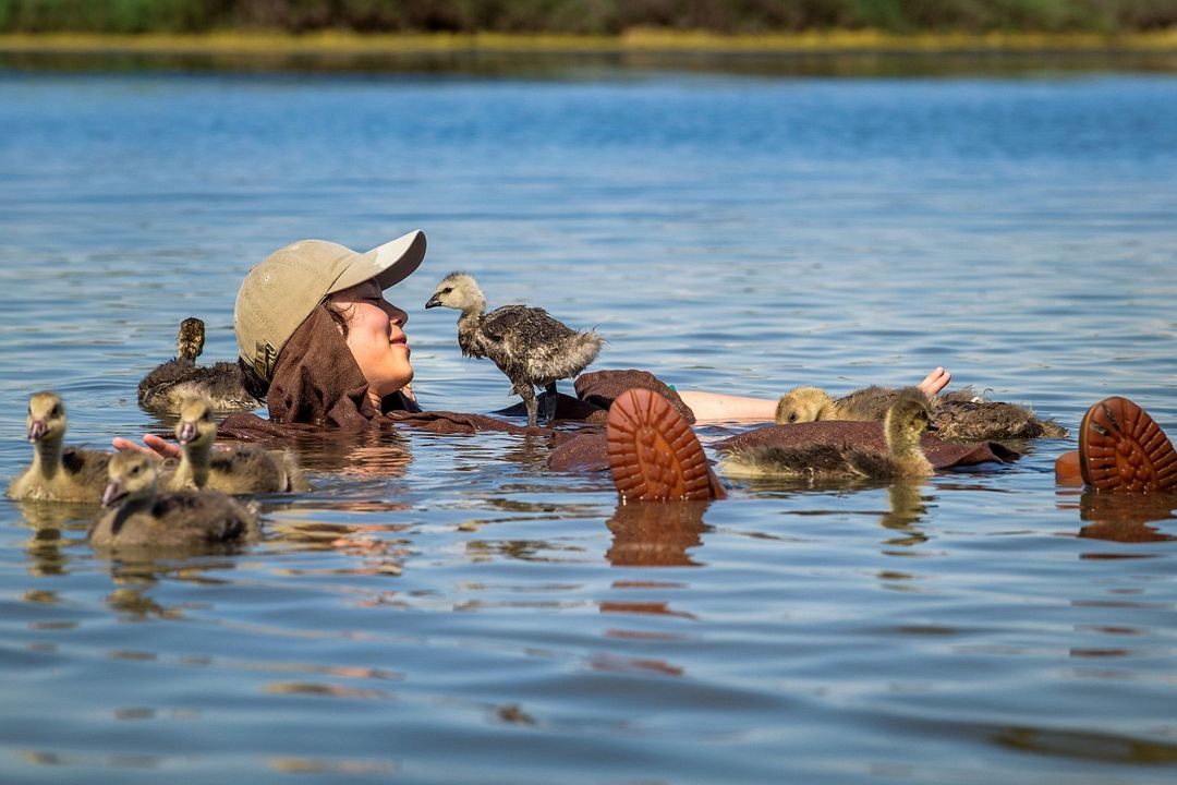 Abre tus alas : Foto