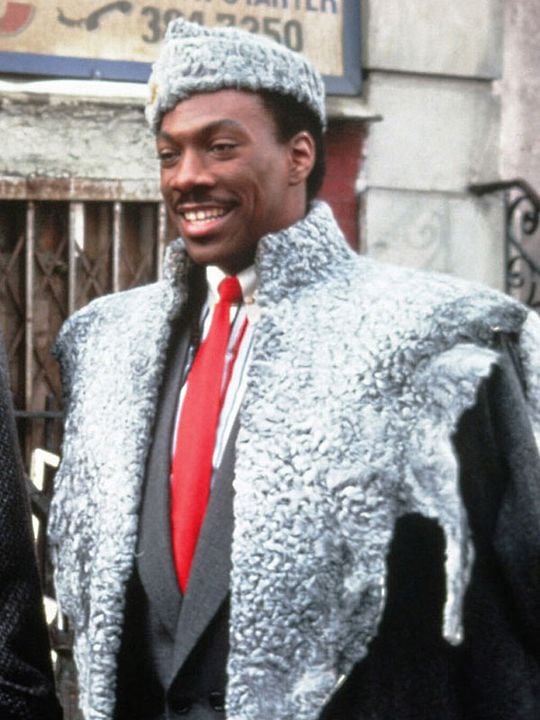 Un príncipe en Nueva York 2 : Póster