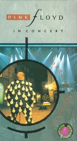 The delicate sound of thunder : Póster