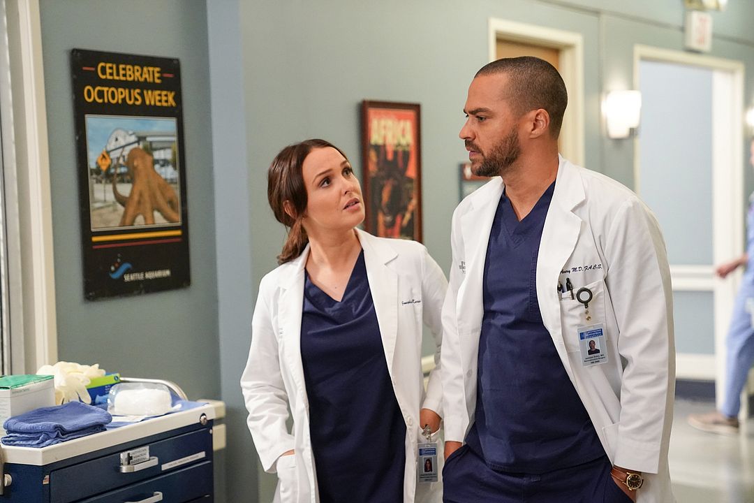 Grey's Anatomy : Foto Jesse Williams, Camilla Luddington