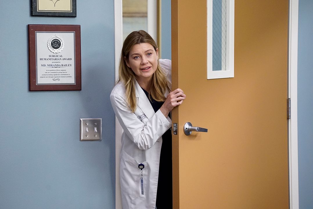 Grey's Anatomy : Foto Ellen Pompeo