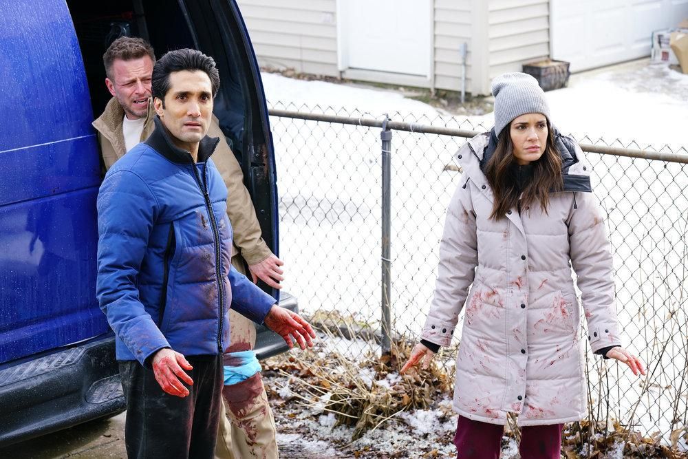 Chicago Med : Foto Torrey DeVitto