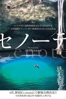 Ts'onot (Cenote) : Póster