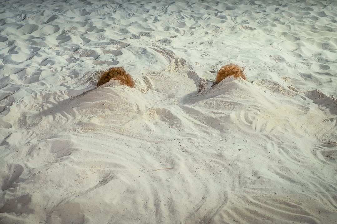 Barb & Star Go to Vista Del Mar : Foto