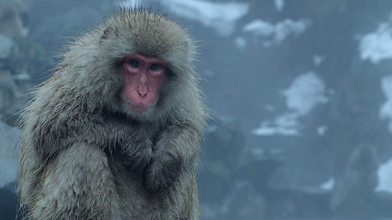 La Tierra de noche : Póster