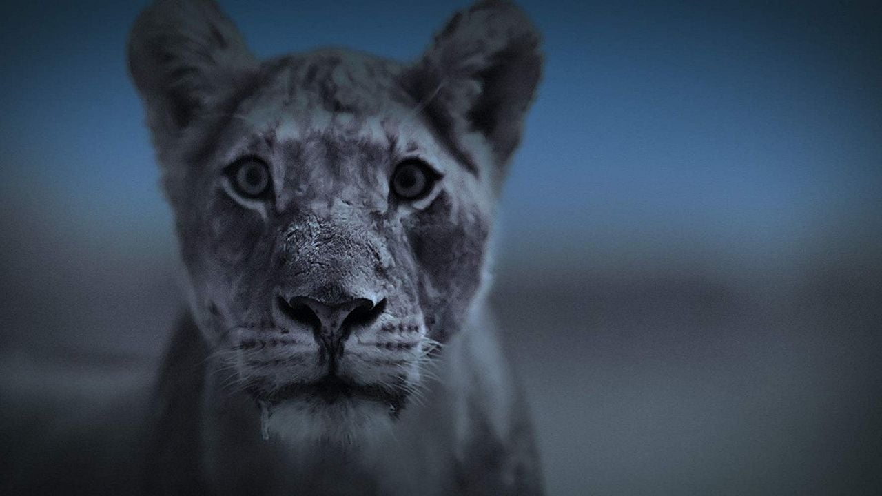 La Tierra de noche : Póster