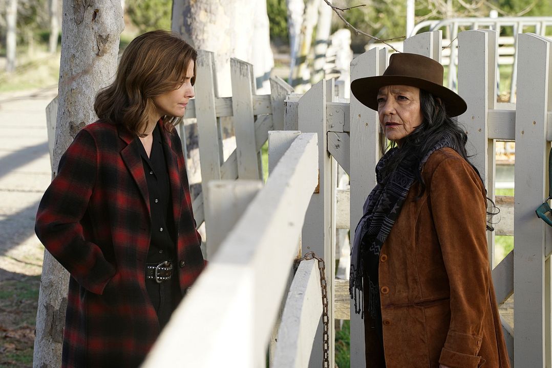 Stumptown : Foto Cobie Smulders, Tantoo Cardinal