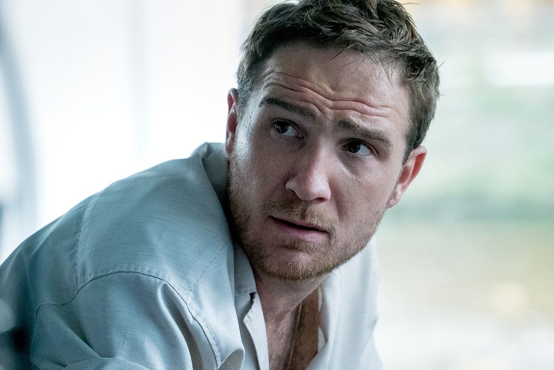 Fiebre del ladrillo : Foto