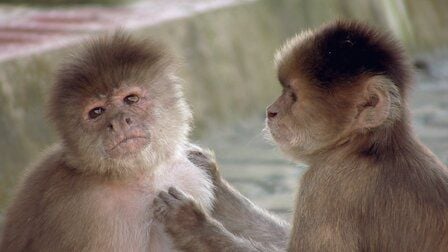 Planeta absurdo : Foto