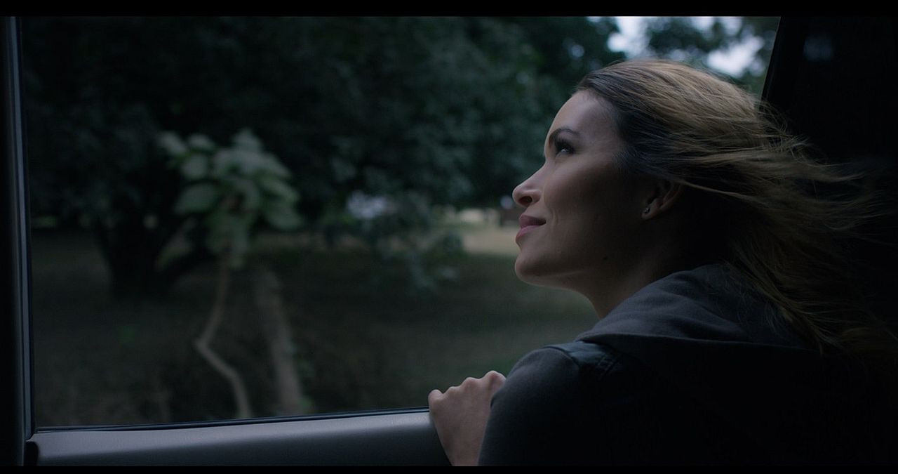 Behind The Trees : Foto