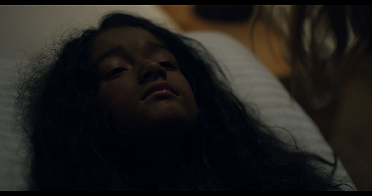 Behind The Trees : Foto