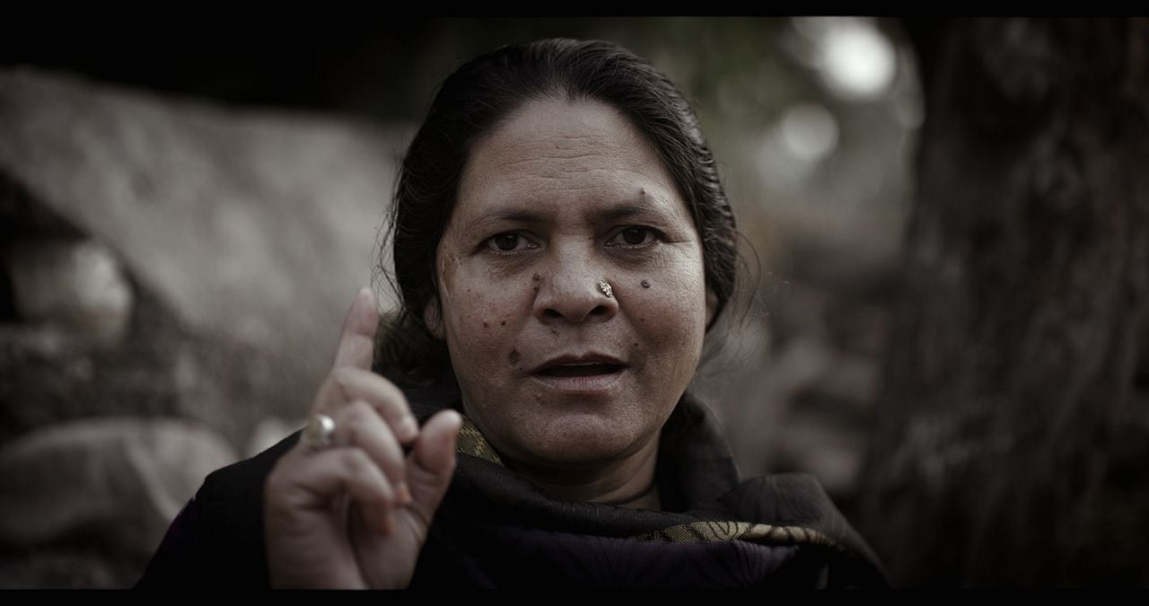 Behind The Trees : Foto