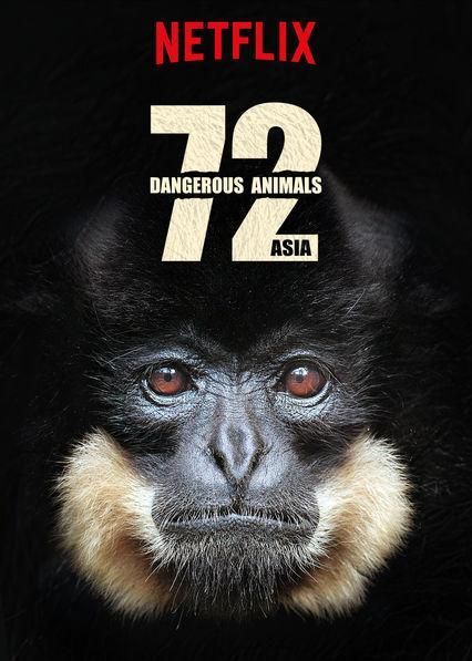72 animales peligrosos: Asia : Póster
