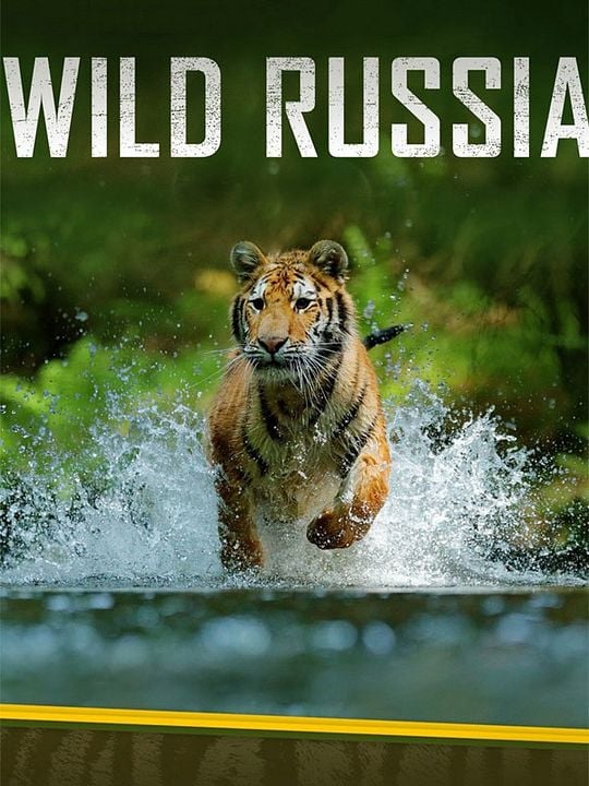 Wild Russia : Póster