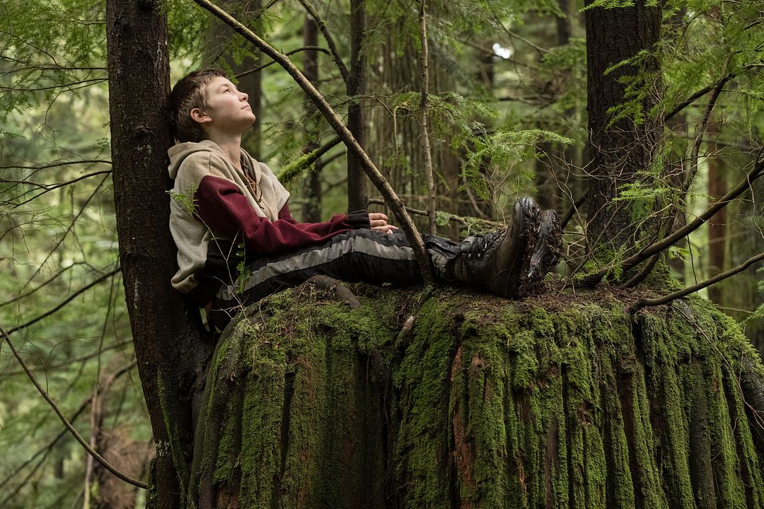 La luz del fin del mundo : Foto Anna Pniowsky