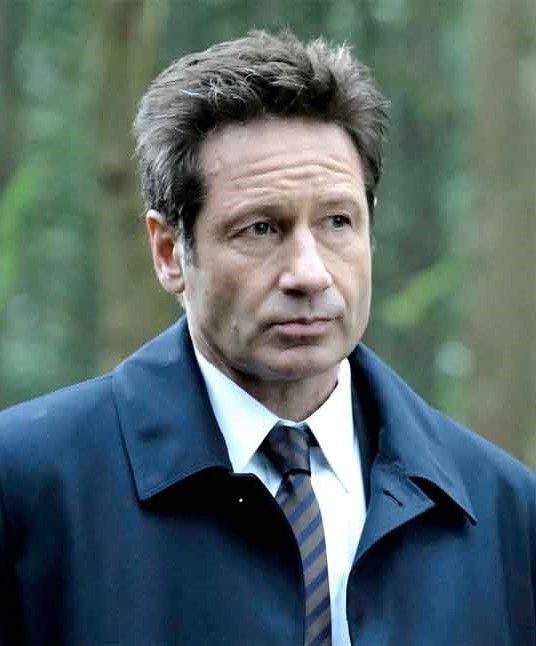 Póster David Duchovny