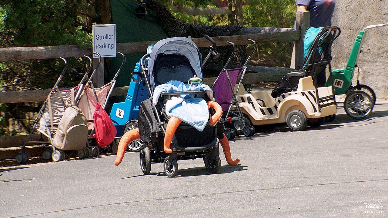 Pixar en vida real : Foto