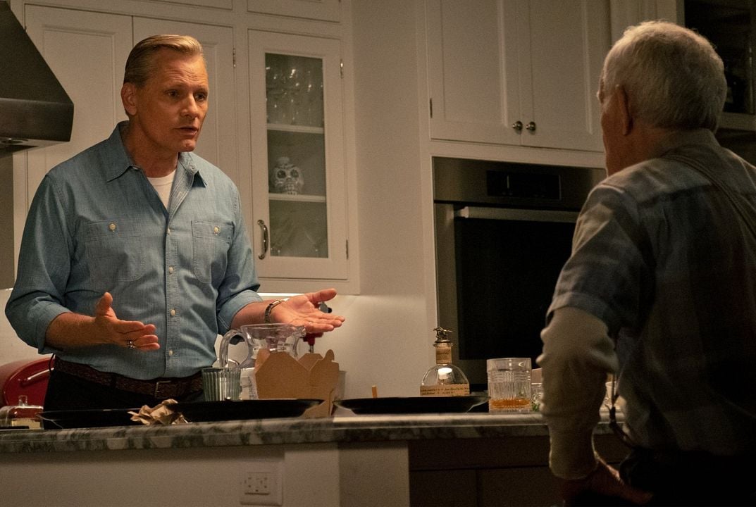 Falling : Foto Viggo Mortensen