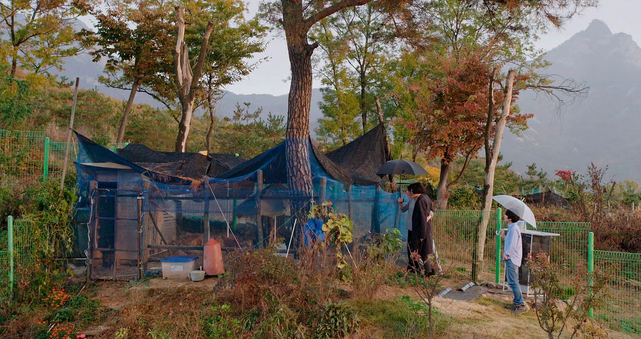 The woman who ran : Foto