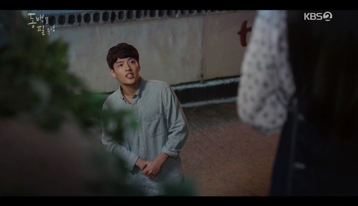 When the Camellia Blooms : Póster