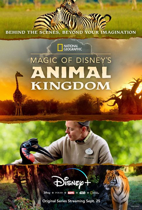 Magic of Disney's Animal Kingdom : Póster
