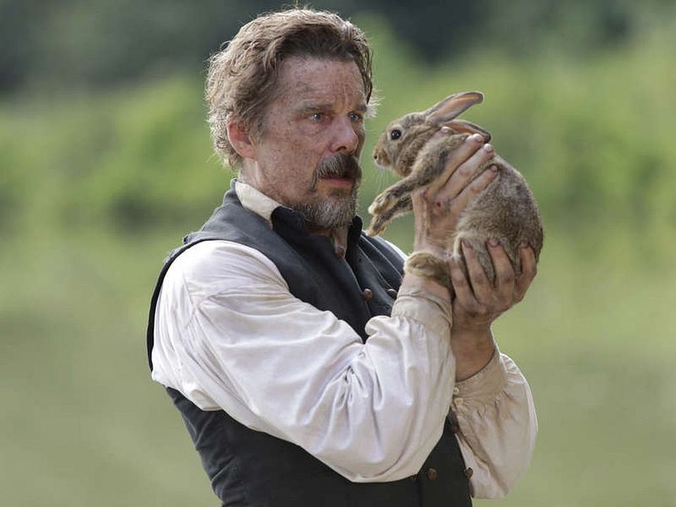 The Good Lord Bird : Foto Ethan Hawke