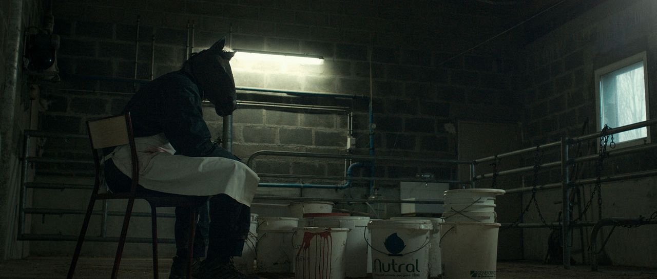 Anonymous Animals : Foto