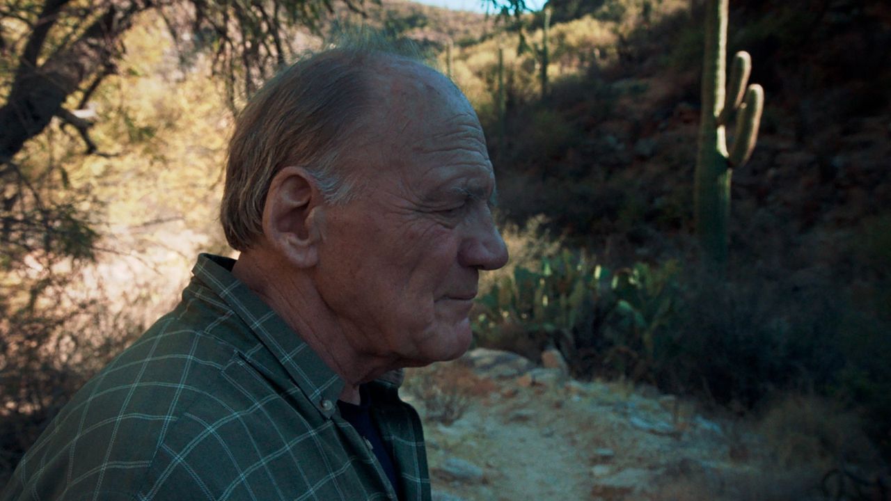 Winter Journey : Foto