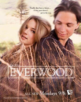 Everwood : Póster