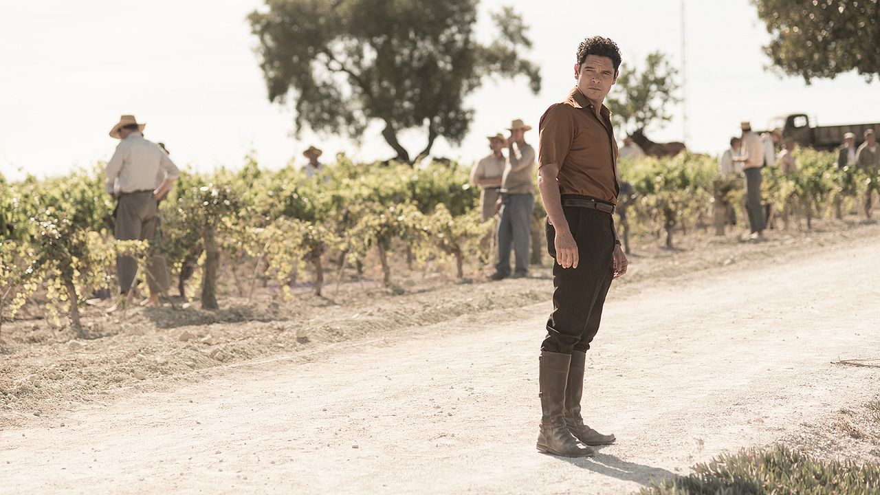 El verano que vivimos : Foto