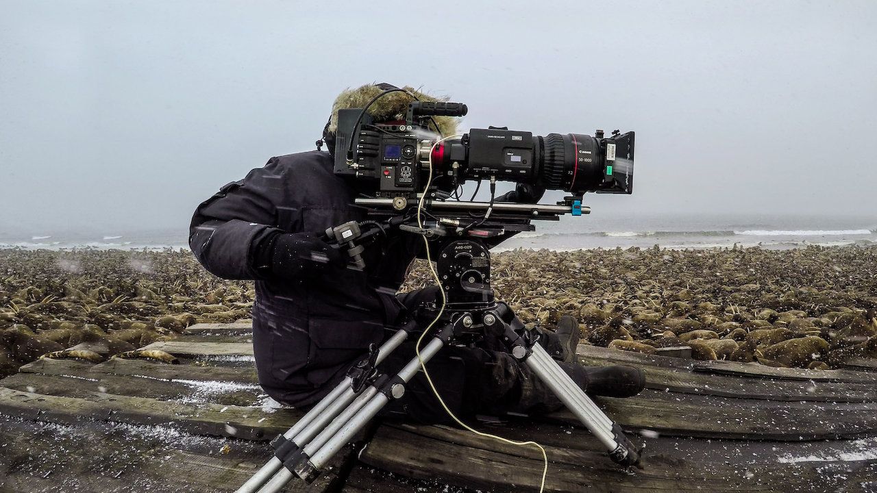 Our Planet: Behind the Scenes : Foto