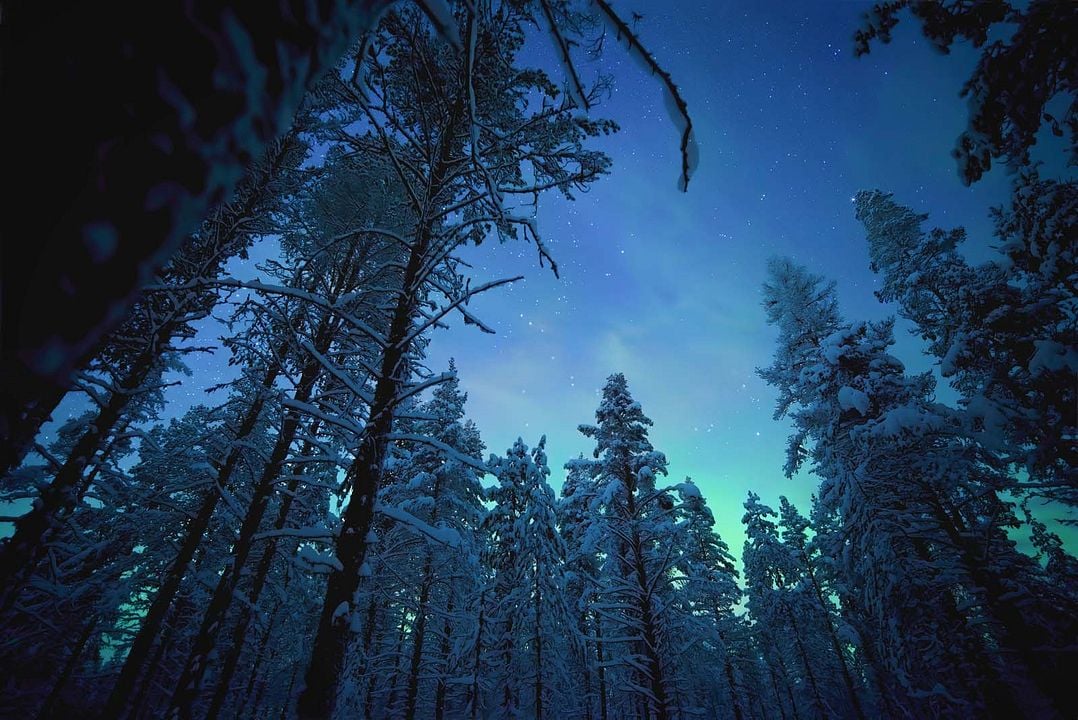 Earth At Night In Color : Foto