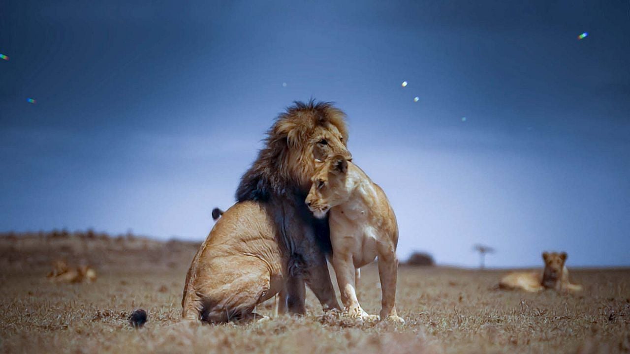 Earth At Night In Color : Foto