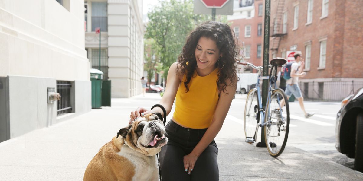 The Dog House : Póster