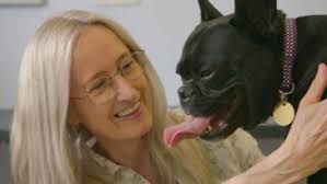 The Dog House : Póster