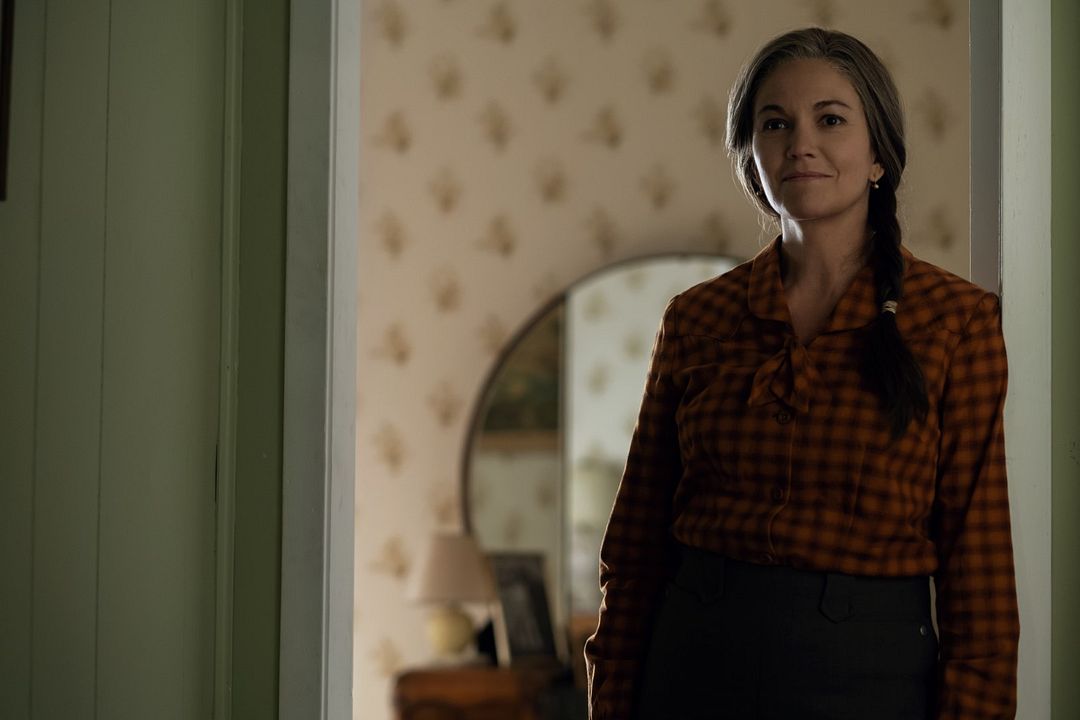 Déjalo Ir : Foto Diane Lane