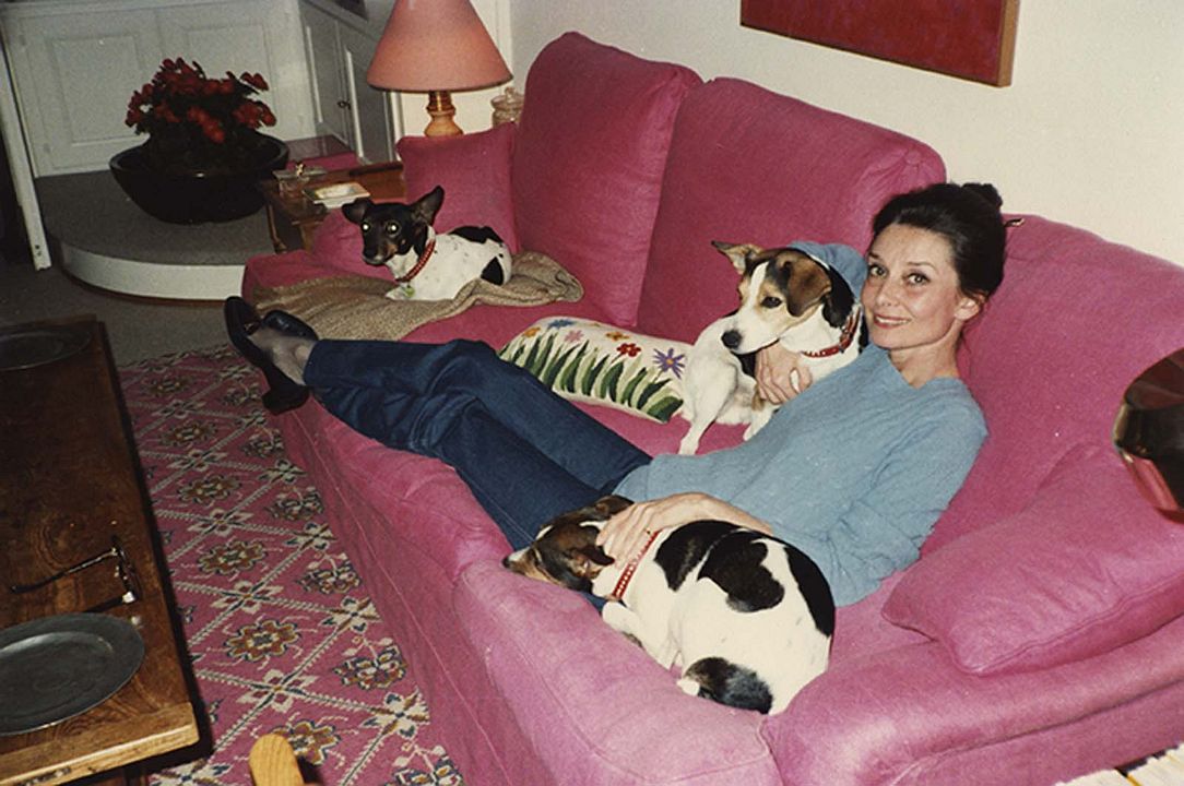 Audrey : Foto Audrey Hepburn