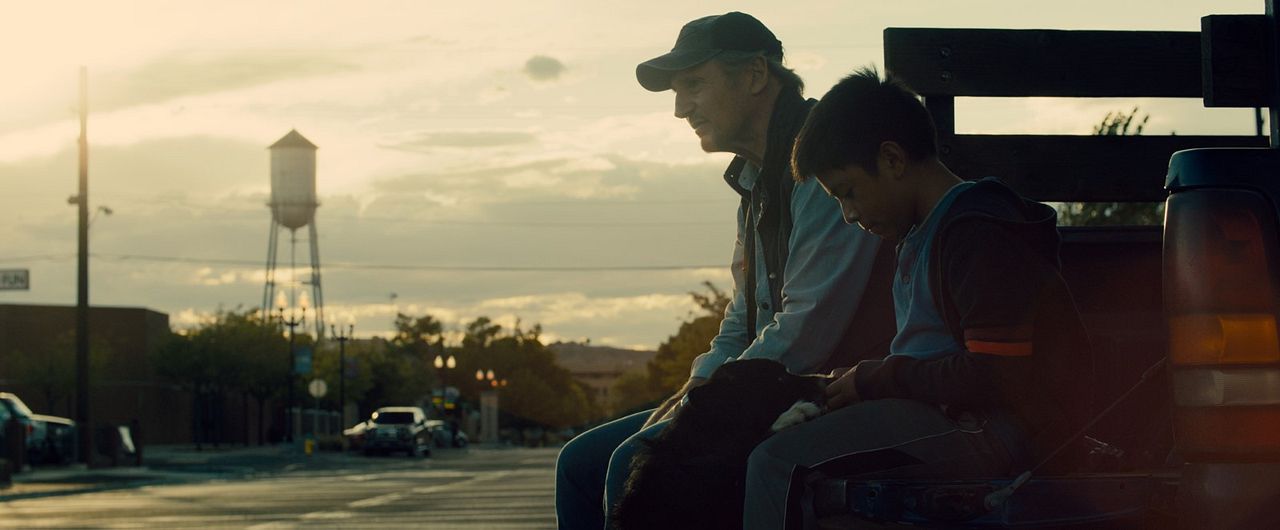 El protector : Foto Liam Neeson