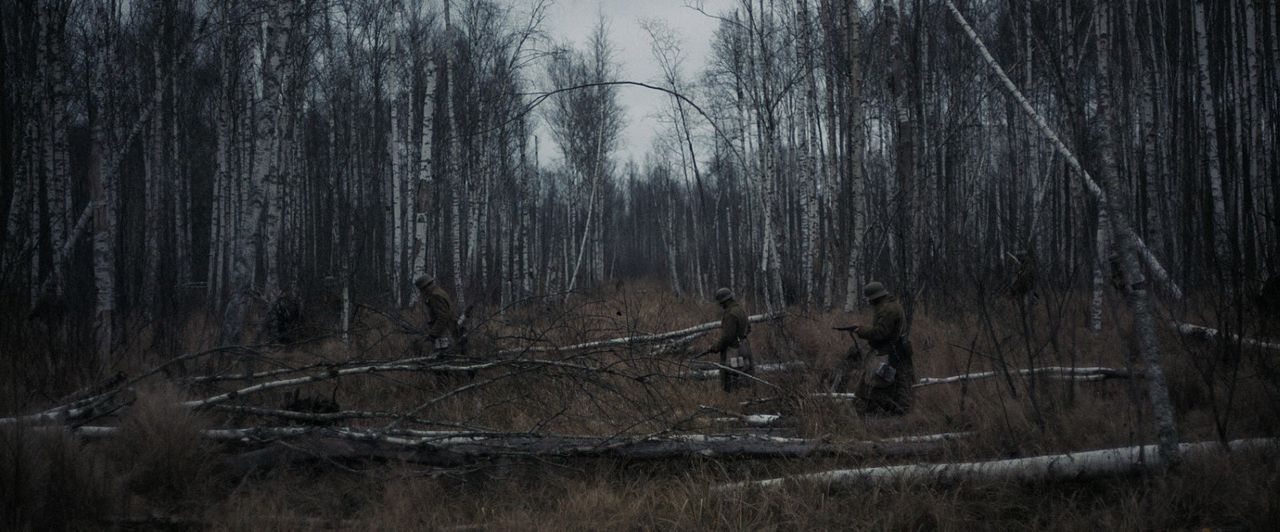 Natural Light : Foto