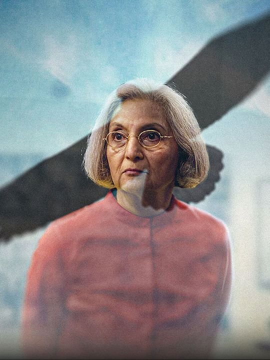 En busca de Sheela : Póster