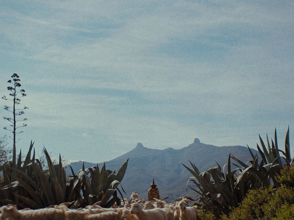 This Is Not a Burial, It's a Resurrection : Foto