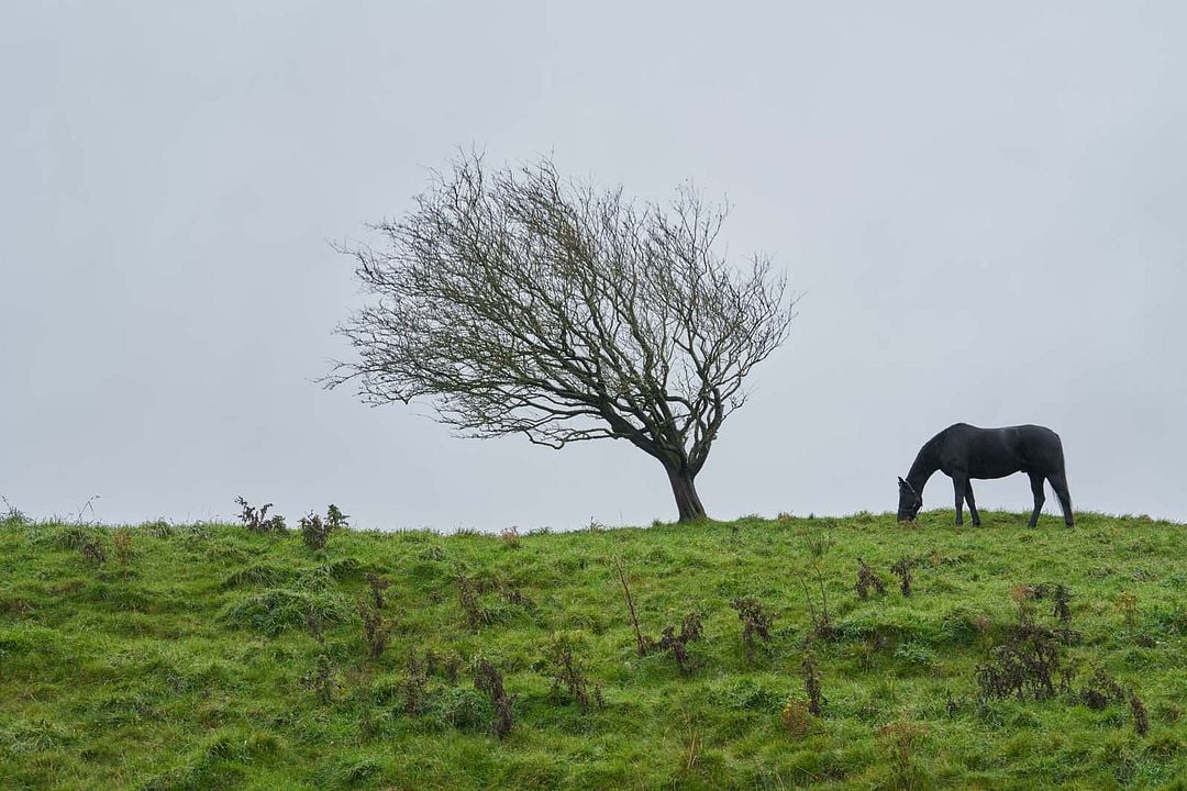 Amor en las montañas : Foto