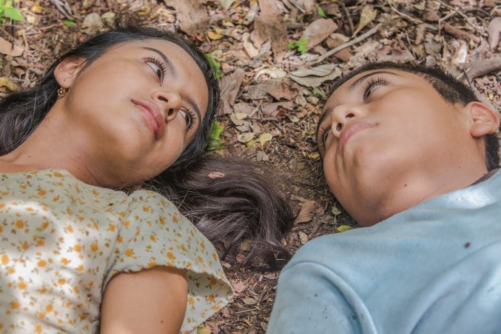 Todo en juego : Foto