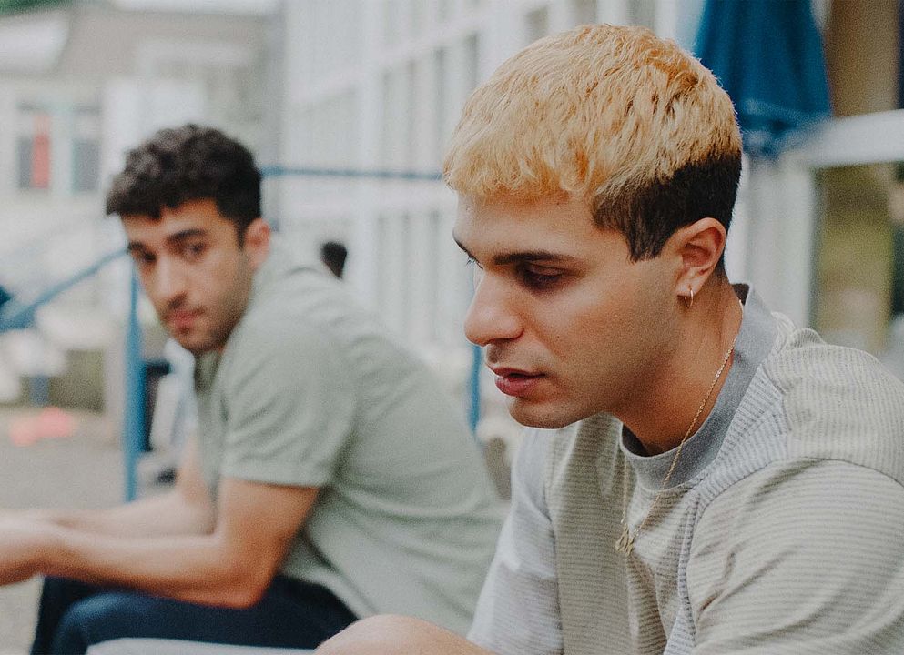 No Hard Feelings : Foto