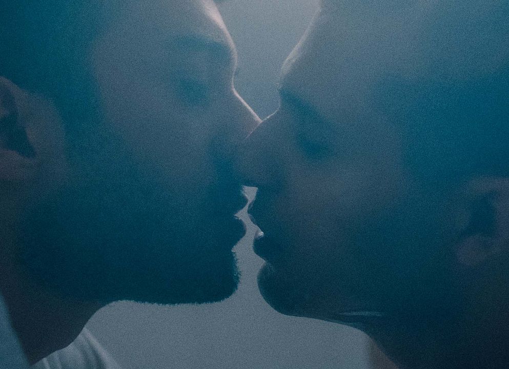 No Hard Feelings : Foto