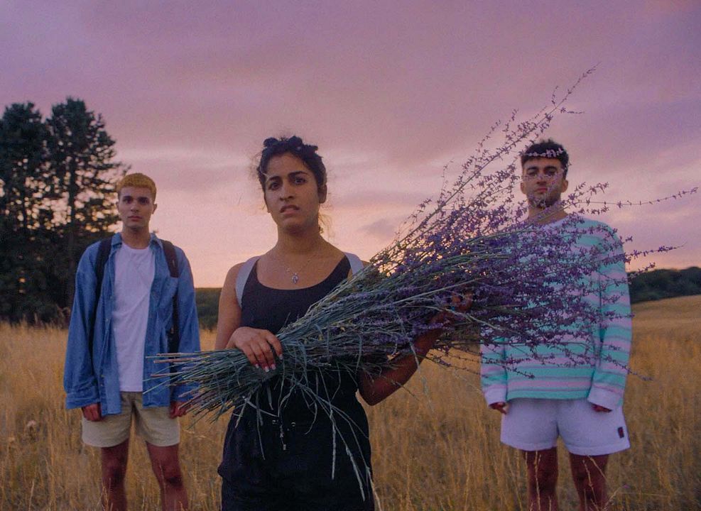 No Hard Feelings : Foto