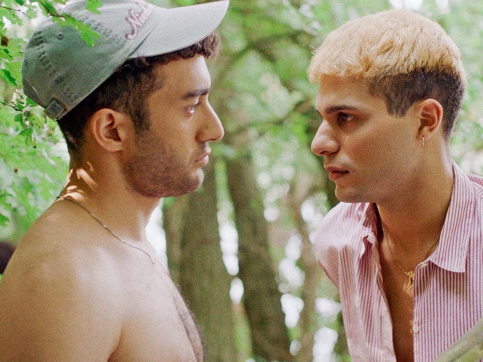 No Hard Feelings : Foto